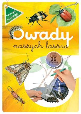 Owady naszych lasów