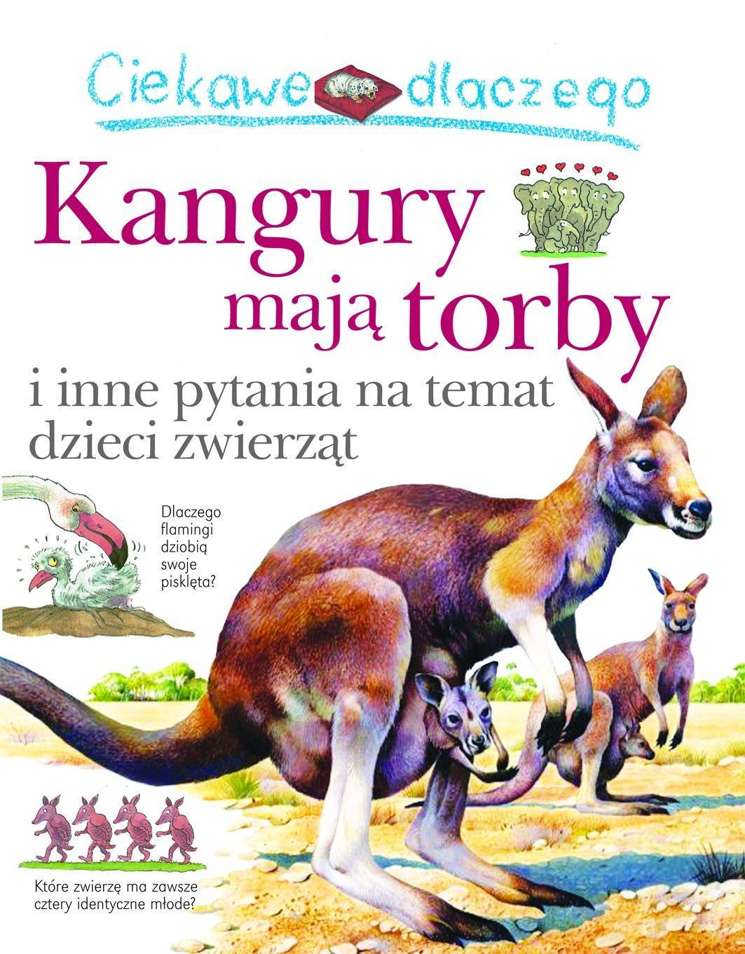 Ciekawe dlaczego - kangury mają torby