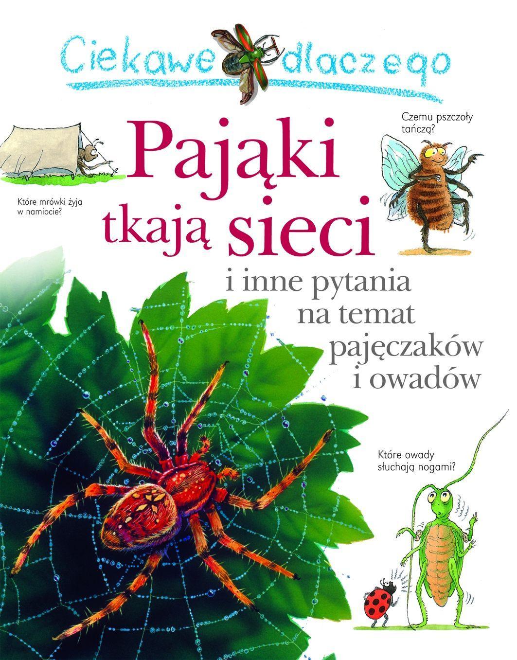 Ciekawe dlaczego - pająki tkają sieci