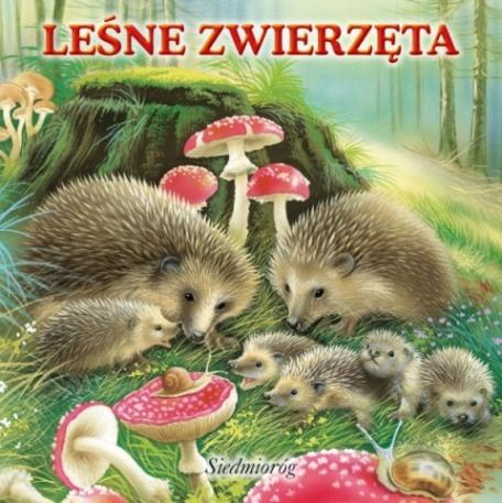 Leśne zwierzęta