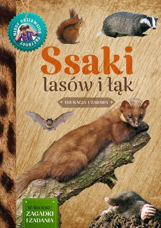 Ssaki lasów i łąk