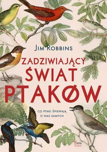 Zadziwiający świat ptaków