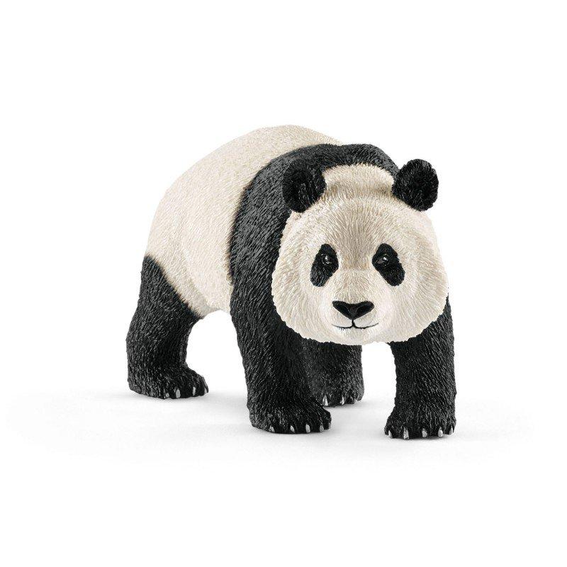 Panda wielka