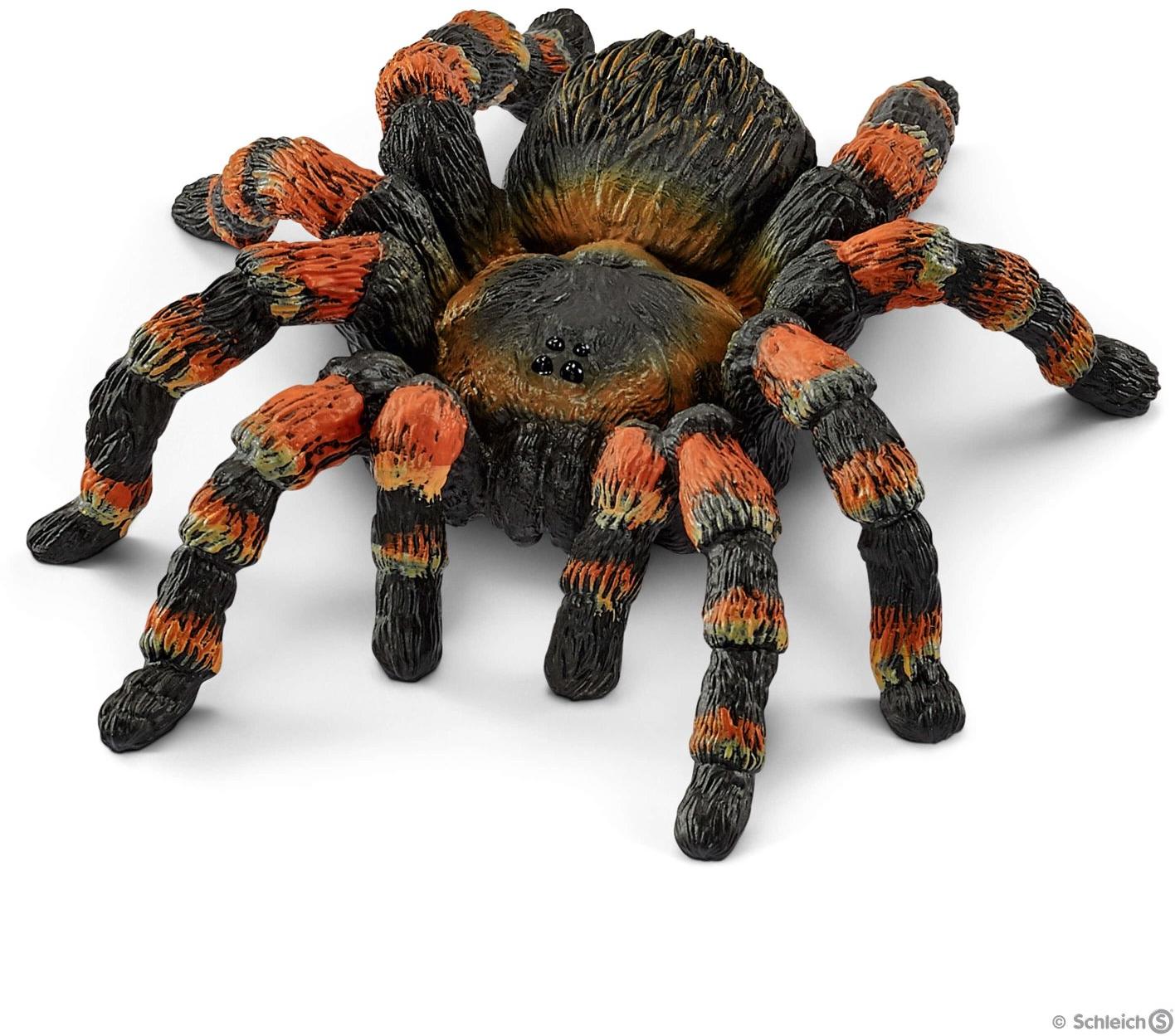 Tarantula