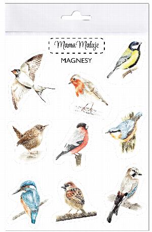 Magnesy - Ptaki